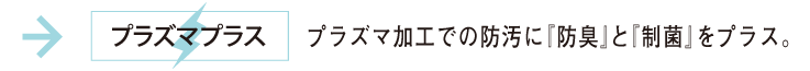 ぷらずま